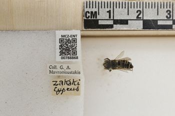 Media type: image;   Entomology 788868 Aspect: Labels